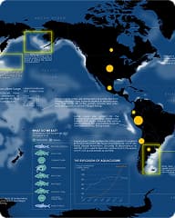 Fishmap Ocean Intelligence